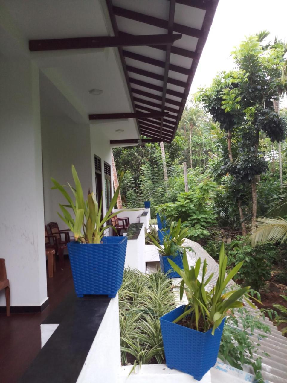 Piumi House Guest House Dickwella Exterior photo